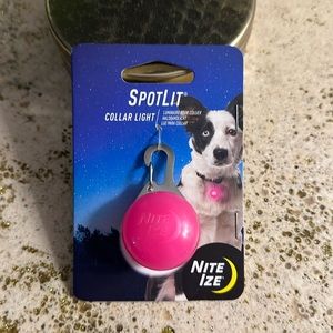 Spotlit collar light for dogs.